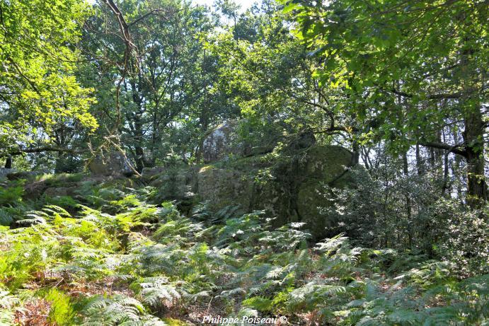 Le Berceau de "Haute Roche"