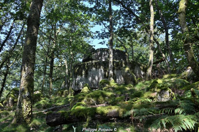 Le Berceau de "Haute Roche"