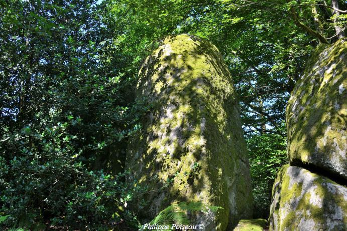 Le Berceau de "Haute Roche"