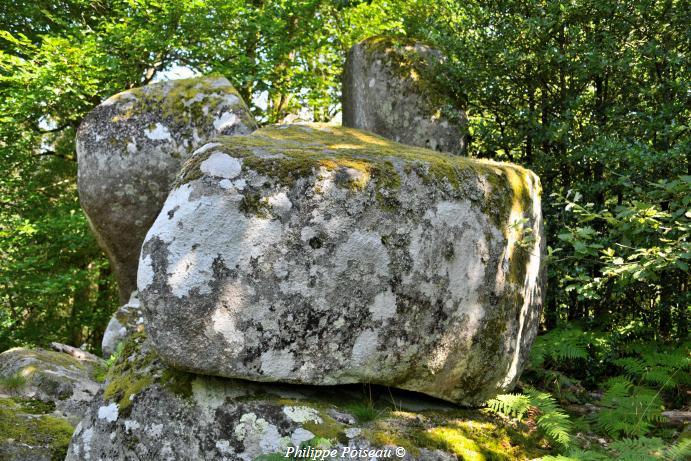 Le Berceau de "Haute Roche"