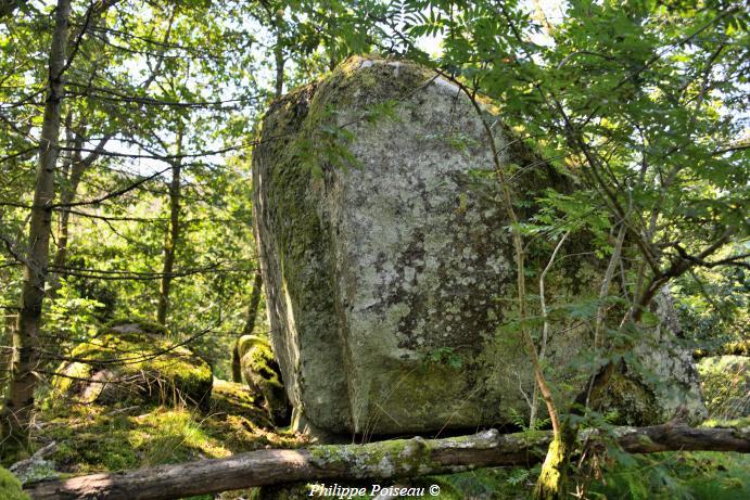 Le Berceau de "Haute Roche"