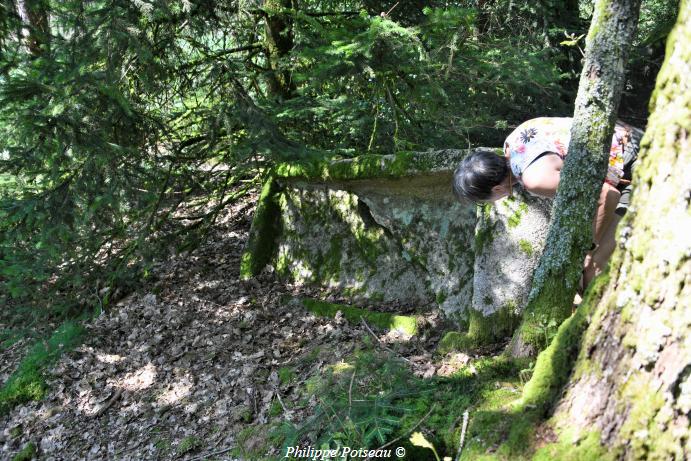 Le Berceau de "Haute Roche"