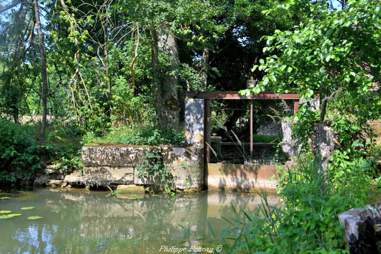 Le Beuvron à Thurigny