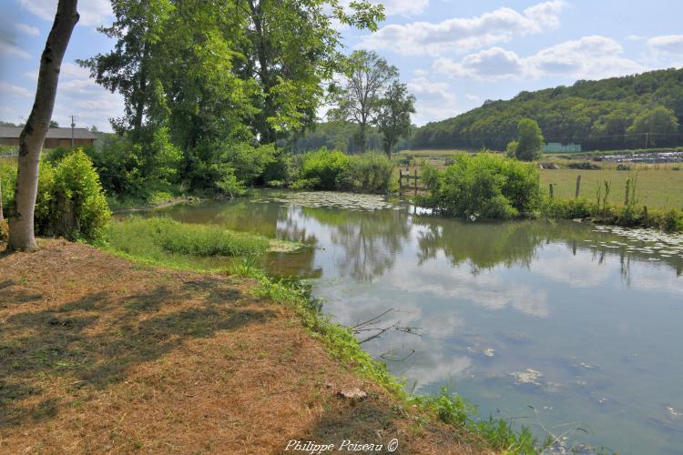 Le Beuvron à Thurigny