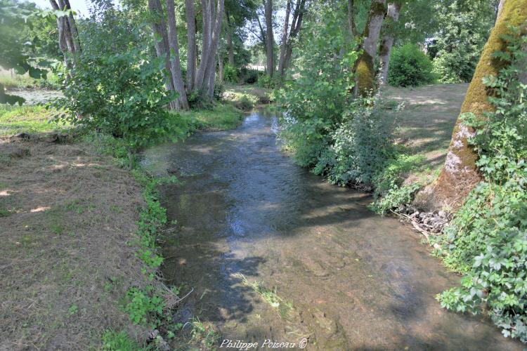 Le Beuvron à Thurigny