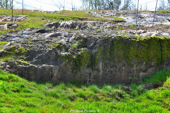 Le Theureau de la Wivre