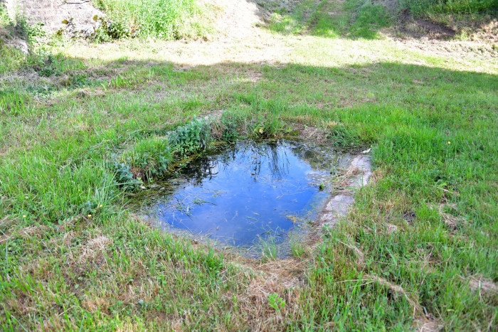 Le lavoir de Saint-Ouen-sur-Loire