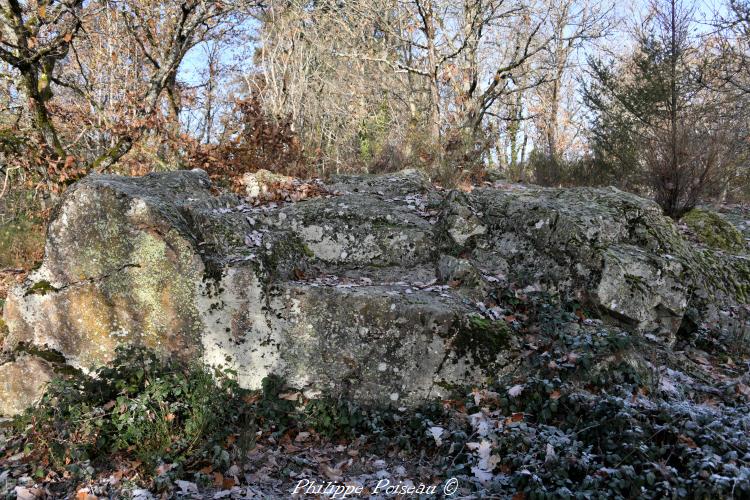 La Chaise à Monsieur de Saint-Saulge un patrimoine