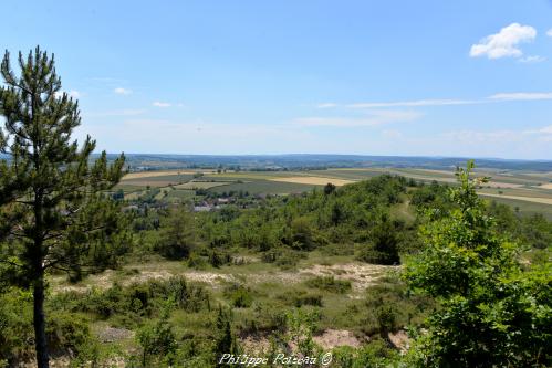 Le site du Montgué Nièvre Passion