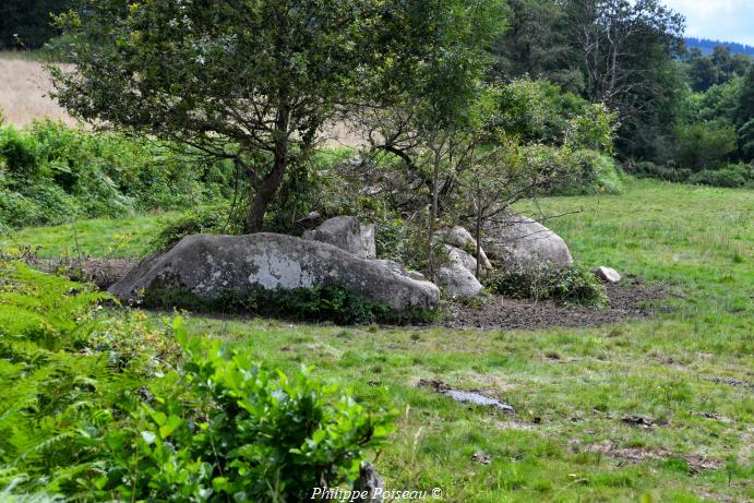 Les Pierres de "Chaumotte"