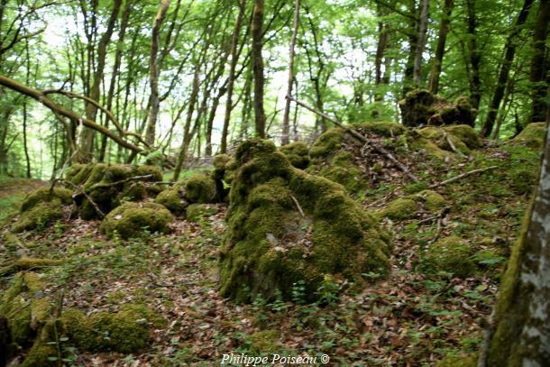Pierres légendaires de Fétigny