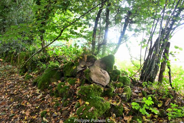 Pierres du "Bois Jacquot"