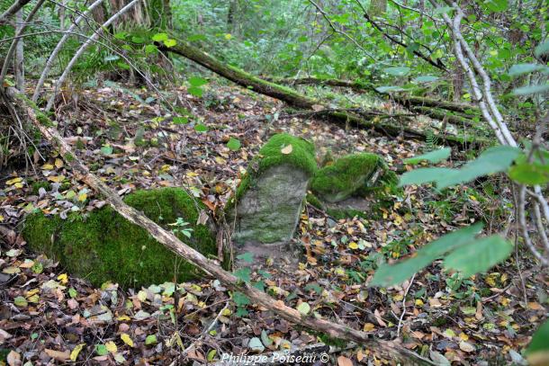 Pierres du "Bois Jacquot"