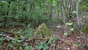 Pierres du "Bois Jacquot"