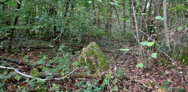 Pierres du "Bois Jacquot"