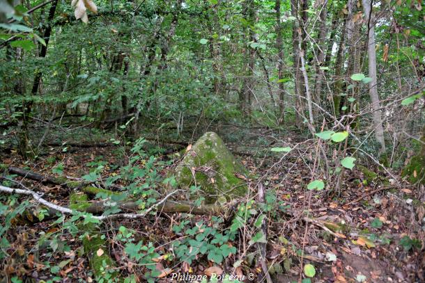 Pierres du "Bois Jacquot"