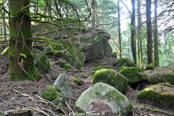 Les Pierres du Bois de Ferté