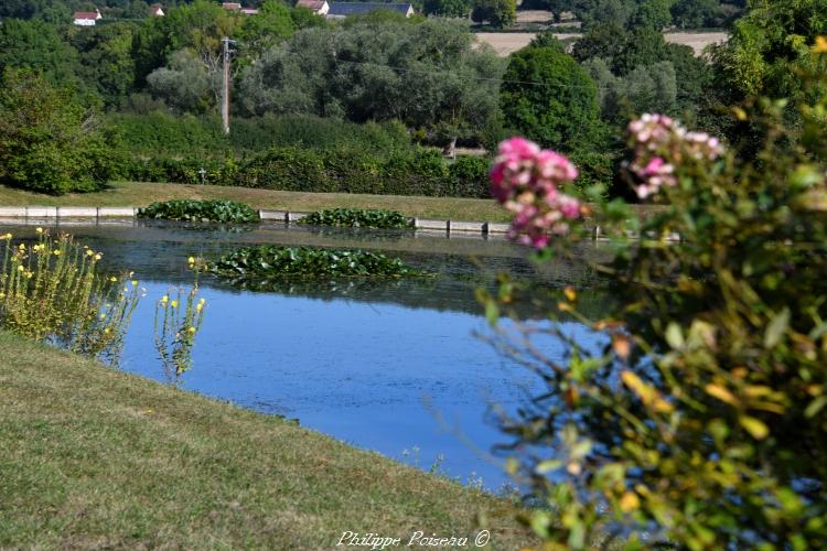 Le lavoir et la marre des Rouneaux un patrimoine