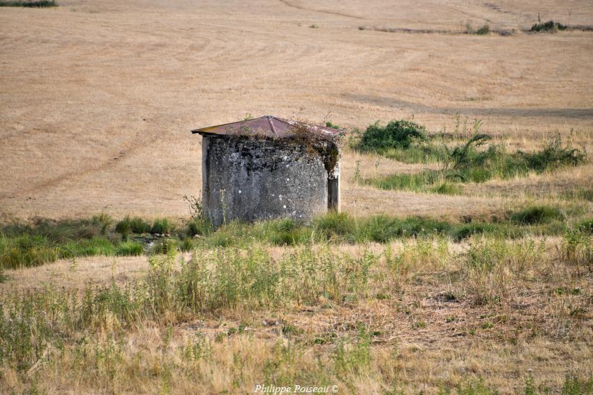 cheminées de Sainte-Camille