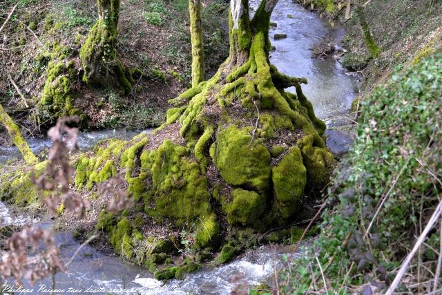 Les Étangs du Pontot et de la Herse