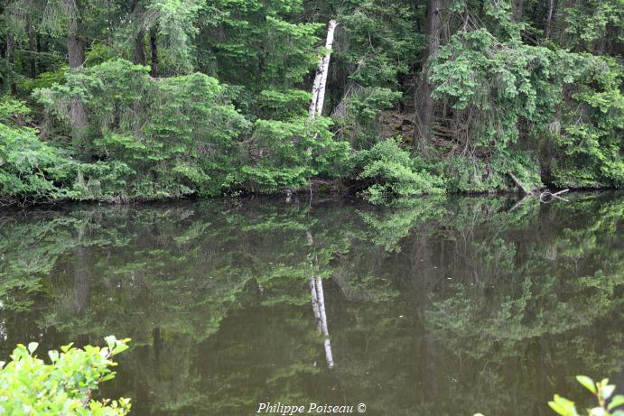 L'étang du Bois des Tours