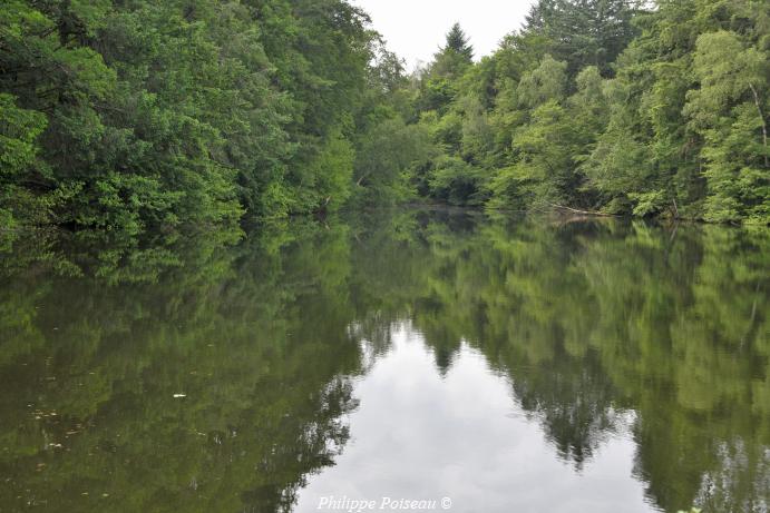 L'étang du Bois des Tours
