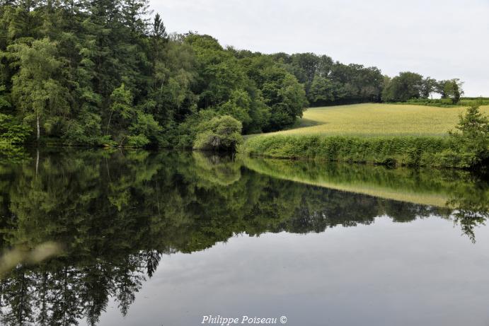 L'étang du Bois des Tours
