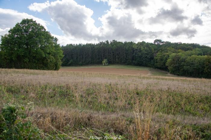 Ancienne loge vigneronnes d'Amazy