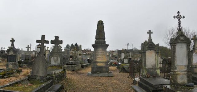 Monument aux morts de Chasnay