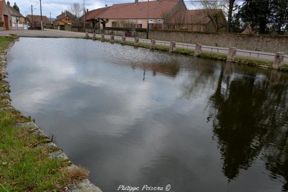 Mare de Saint-Léger-Vauban un petit plan d’eau