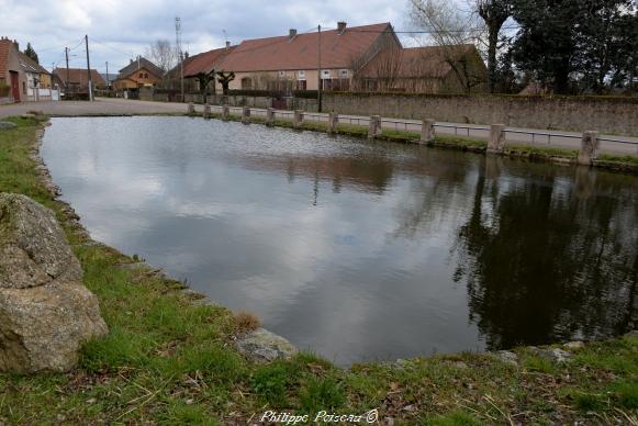 Marre de Saint-Léger-Vauban