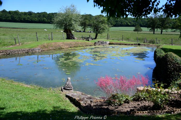 Mare de Sauvigny les Bois un beau patrimoine.