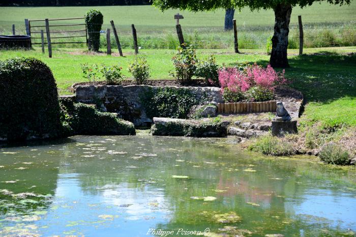 Marre de Sauvigny les Bois