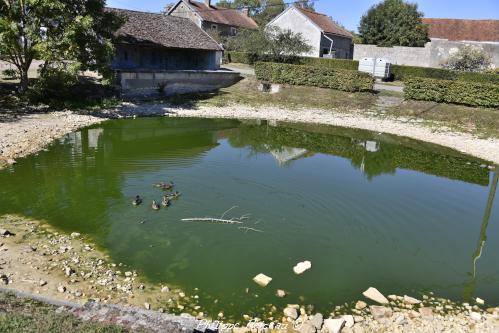 Mare de rouissage de Jussy un patrimoine vernaculaire