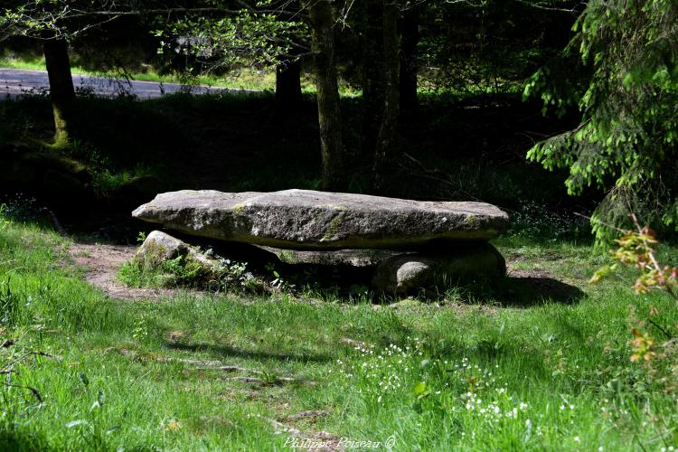 Mégalithe du Vignan un beau patrimoine