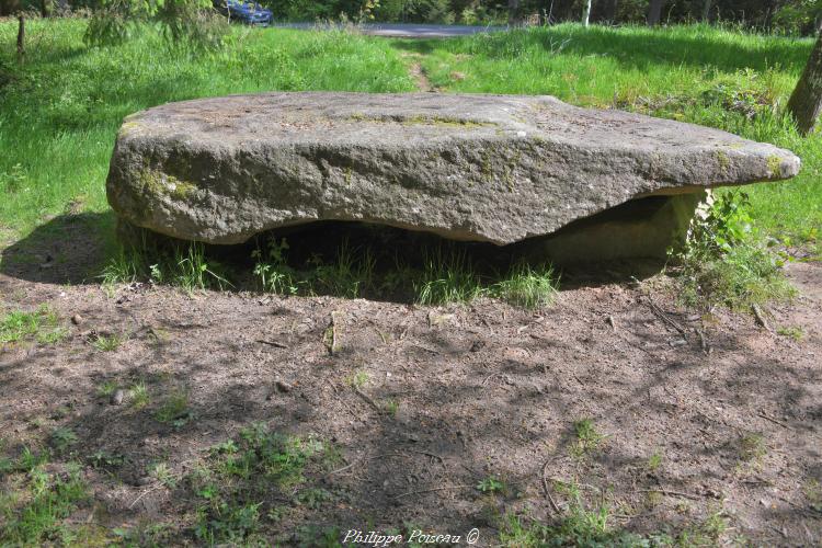 Mégalithe du "Vignan"
