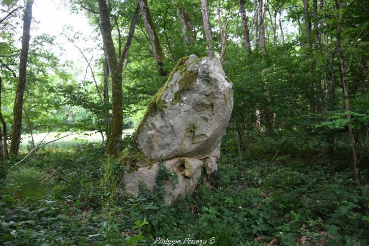 Menhir de la "Pierre fiche" 