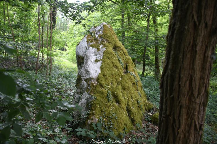 Menhir de la "Pierre fiche"