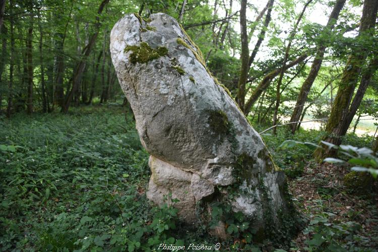 Menhir de la Pierrefiche de Breugnon