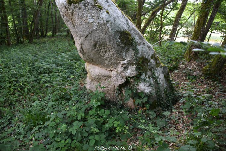 Menhir de la "Pierre fiche"