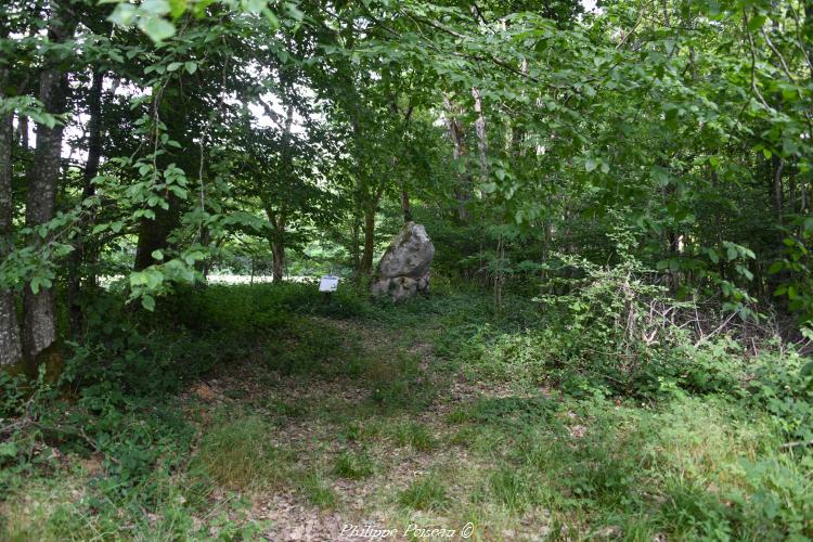 Menhir de la "Pierrefiche"