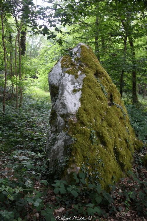 Menhir de la Pierrefiche de Breugnon