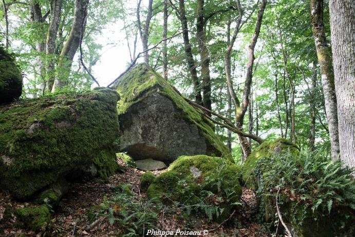 Menhir de "La pierre pointe"