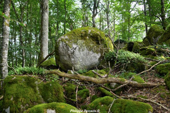 Menhir de "La pierre pointe"