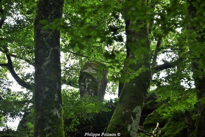 Menhir de "La pierre pointe"