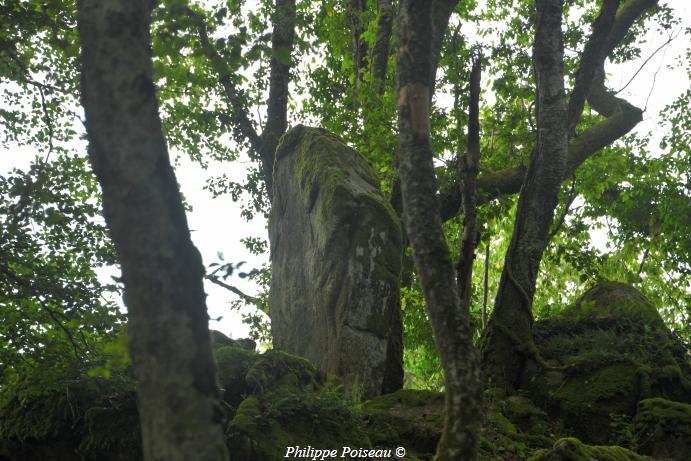 Menhir de "La pierre pointe"