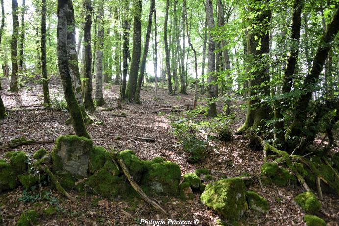 Menhir de "La pierre pointe"