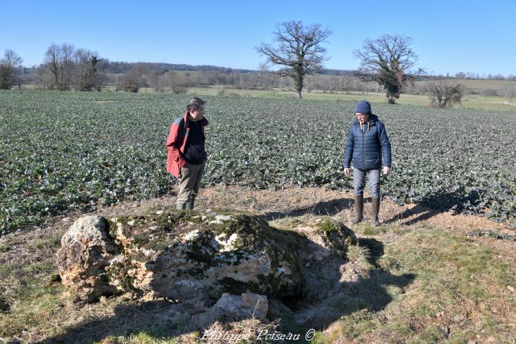 Le menhir du Chaillou Magnien un patrimoine