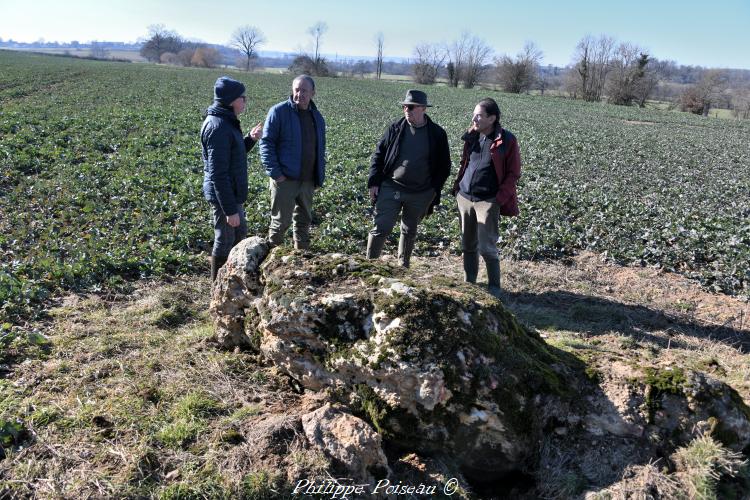 Le menhir du Chaillou Magnien