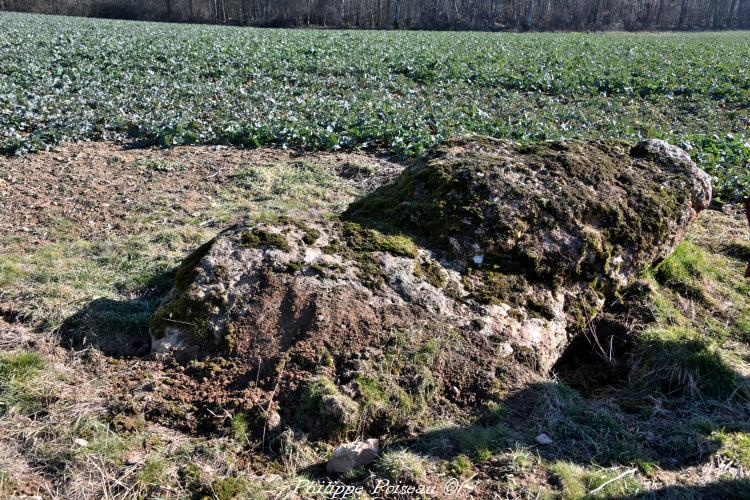 Menhir du "Chaillou Magnien"